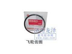 ,飛輪齒圈,山東弗殼潤滑科技有限公司