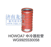 WG9925530058,中冷器膠管,山東弗殼潤滑科技有限公司