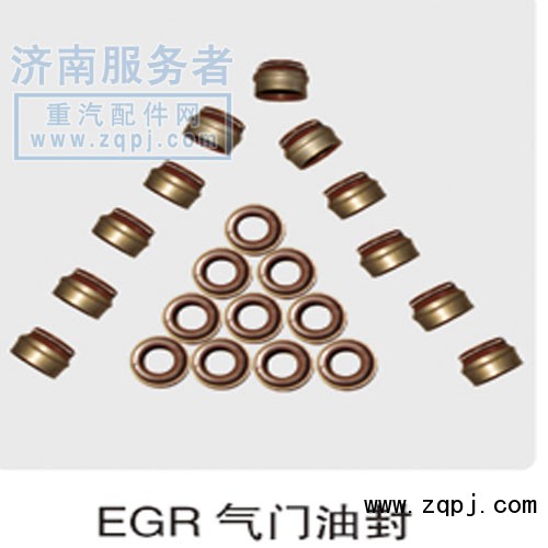 EGR氣門(mén)油封/