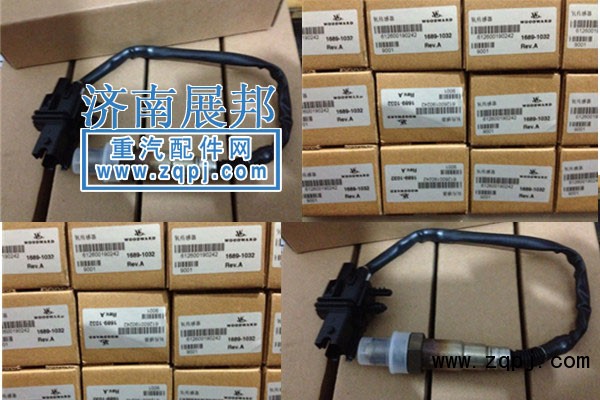 VG1540090052濃度傳感器/VG1540090052
