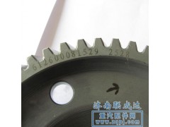 612600081529,噴油泵齒輪,濟南路泰汽配有限公司