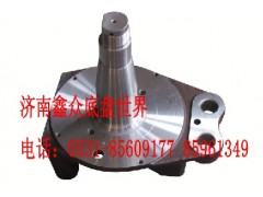 199112410057,轉(zhuǎn)向節(jié)總成,濟(jì)南國(guó)橋汽車零部件有限公司