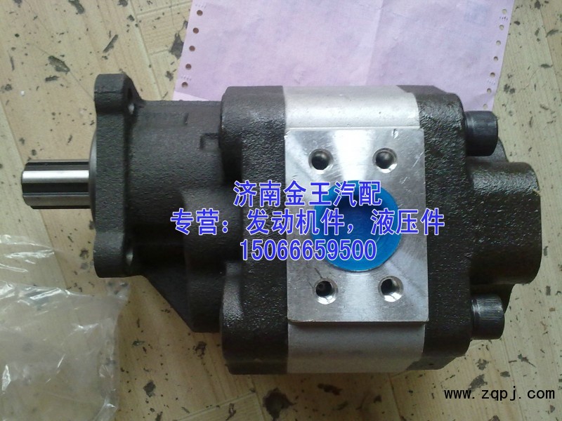 供應齒輪油泵，齒輪泵，液壓泵CBHBD-F100H8，H6/CBHBD-F100H8，H6
