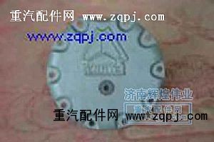 99112340001,輪邊蓋板,濟南鼎琦工貿(原輝煌偉業)有限公司
