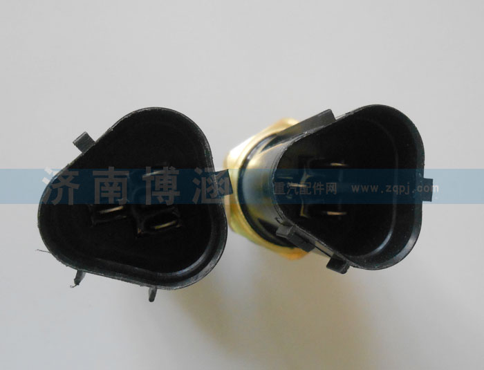 雙溫控開關612600061654/612600061654