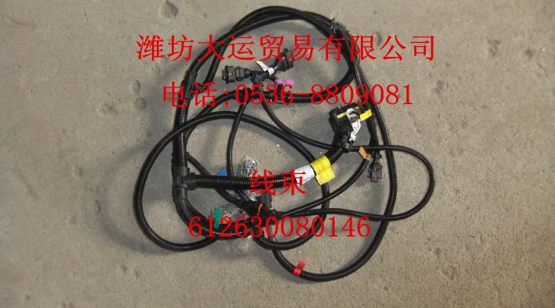 線束612630080146/612630080146