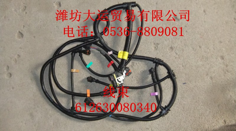 線束612630080340/612630080340