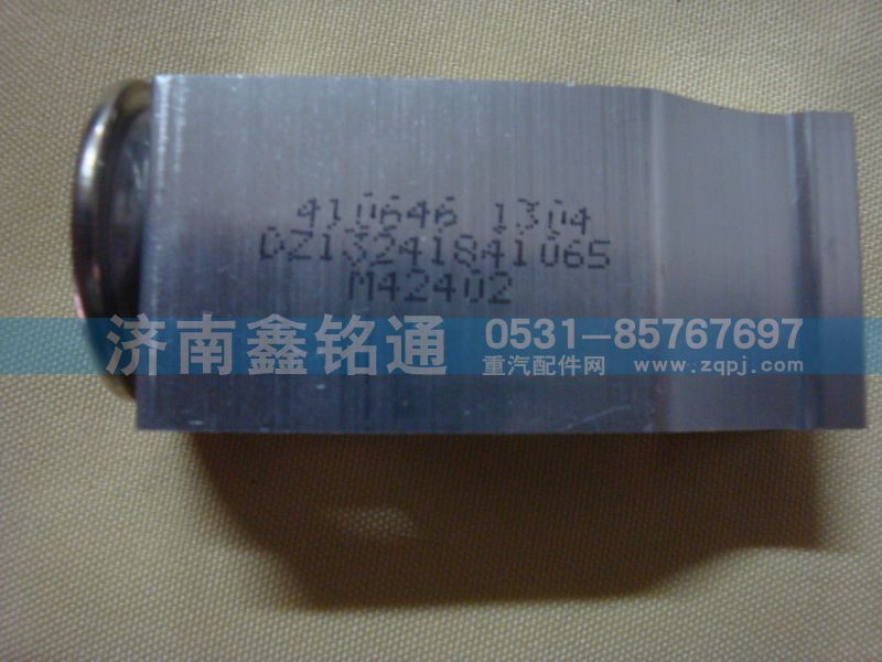 陜汽德龍F3000環保口奧龍13膨脹閥/DZ13241841065