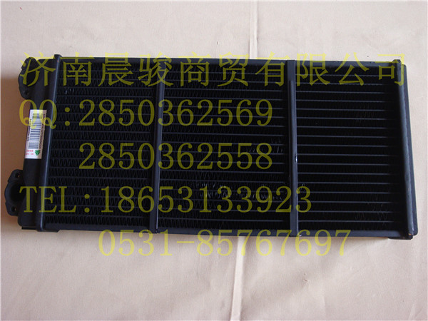 重汽金王子暖風水箱散熱器/az1630840074