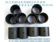 ZL300S1-2403004-ZL300S1-2510013,奔馳十字軸襯套（滲合金原廠襯套）,綿陽重業齒輪有限責任公司