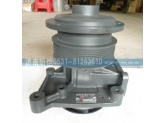 612600061603,濰柴發動機水泵總成,濟南昕愷汽車配件有限公司（濟南宏偉泵業）