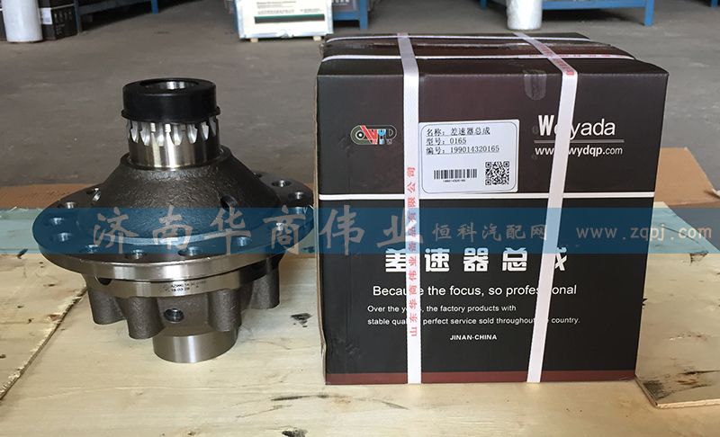 差速器總成 199014320165/199014320165
