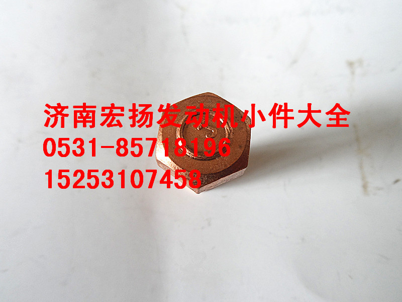 8*20隔熱罩螺栓  VG1500110963/VG1500110963