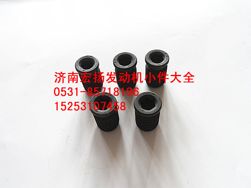 缸體副螺栓絲堵   612600012189/612600012189