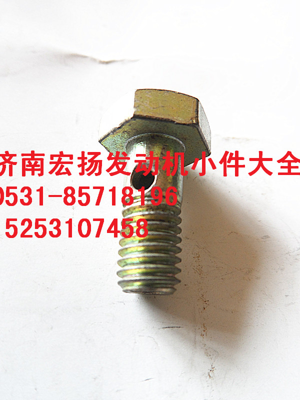 M8D12噴油器空心螺栓  VG1246080077/VG1246080077