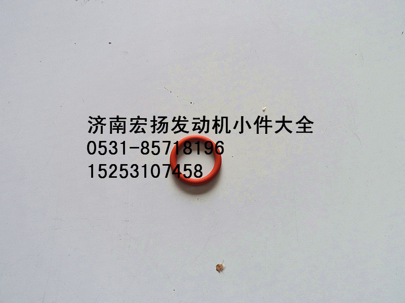 重汽噴油器密封圈   VG1540080095/VG1540080095