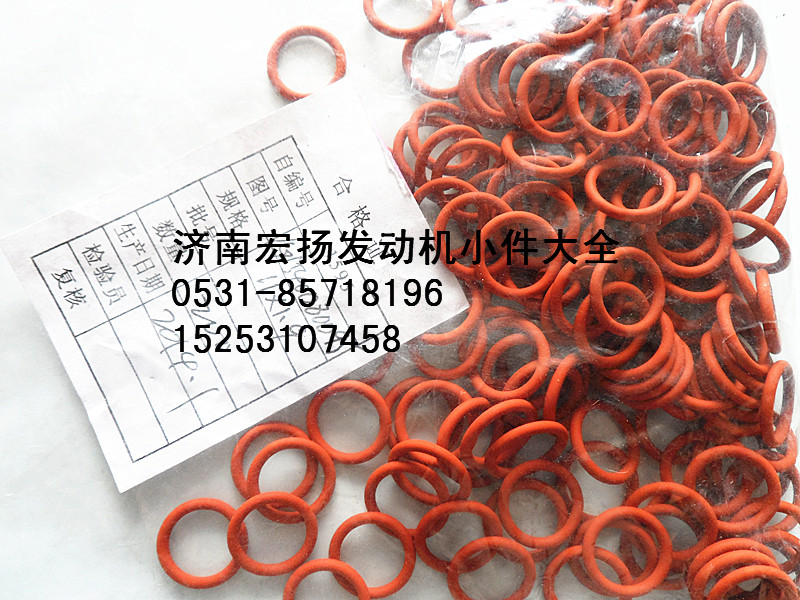 重汽噴油器密封圈   VG1540080095/VG1540080095
