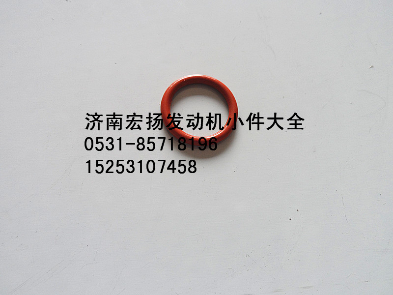 WP12機油泵密封圈   612639000019/612639000019