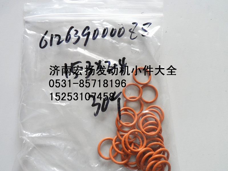 WP12缸體密封圈  612639000088/612639000088