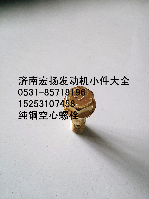 純銅放氣管空心螺栓   612630040117/612630040117