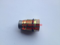 1110010015,共軌管泄壓閥,濟南信發(fā)汽車配件有限公司