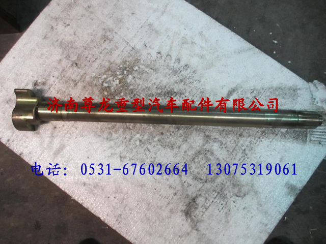 DZ9112340283,陜汽漢德車橋制動(dòng)凸輪軸（左）,濟(jì)南尊龍(原天盛)陜汽配件銷售有限公司