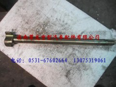 DZ9112340283,陜汽漢德車橋制動(dòng)凸輪軸（左）,濟(jì)南尊龍(原天盛)陜汽配件銷售有限公司