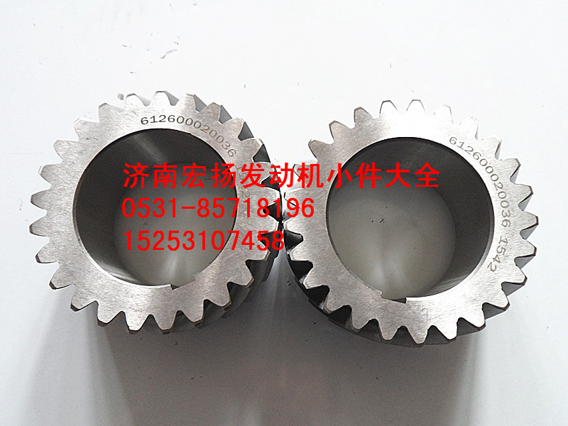WP10曲軸齒輪   612600020036/612600020036