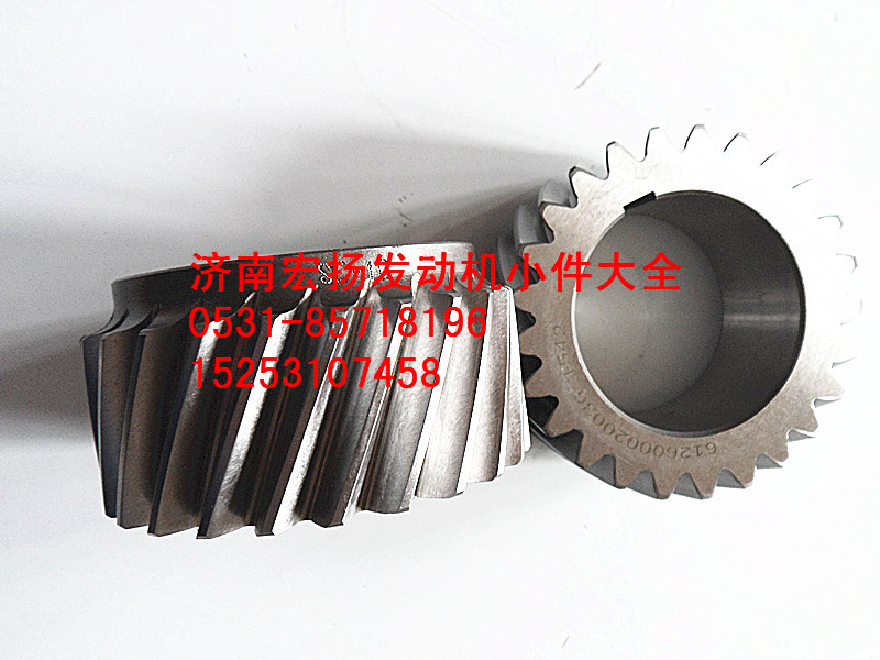 WP10曲軸齒輪   612600020036/612600020036