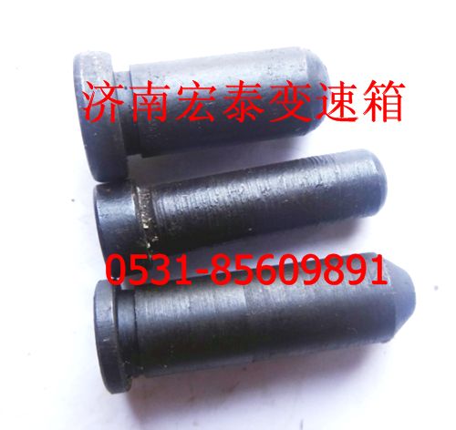 15899  開關啟動銷/15899