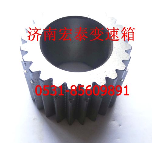 WG2210100001 太陽輪/WG2210100001