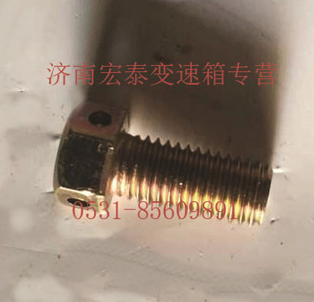 小六角頭頭部帶孔螺栓/Q170B1022