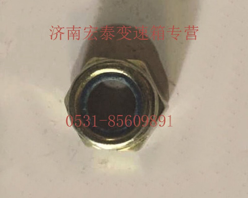 六角尼龍圈鎖緊螺母/AZ9003881616