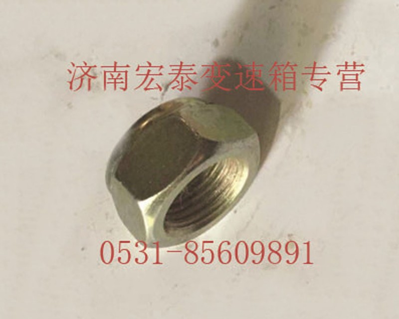 六角尼龍圈鎖緊螺母/AZ9003881616
