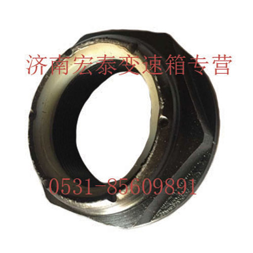 凸緣螺母/AZ2229100327