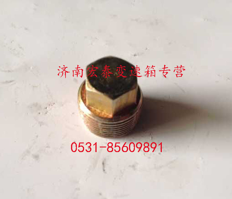 放油螺塞總成/WG2203010002