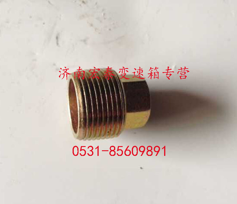 放油螺塞總成/WG2203010002