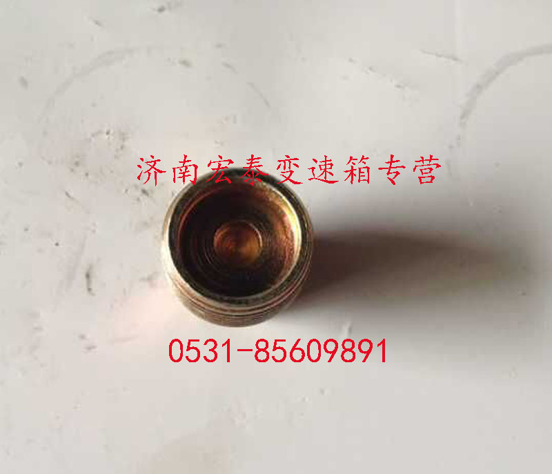 放油螺塞總成/WG2203010002