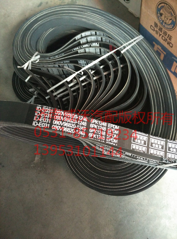 6PK1248/080V96820-1248