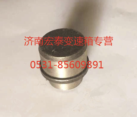 鎖板支銷/WG2229100056