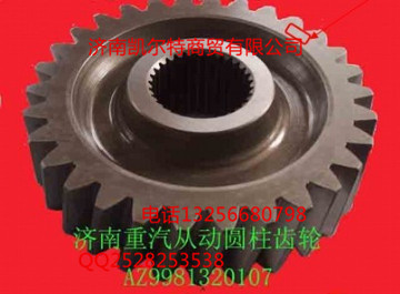 重汽配件豪沃金王子STRWG9981320107從動(dòng)圓柱齒輪/WG9981320107