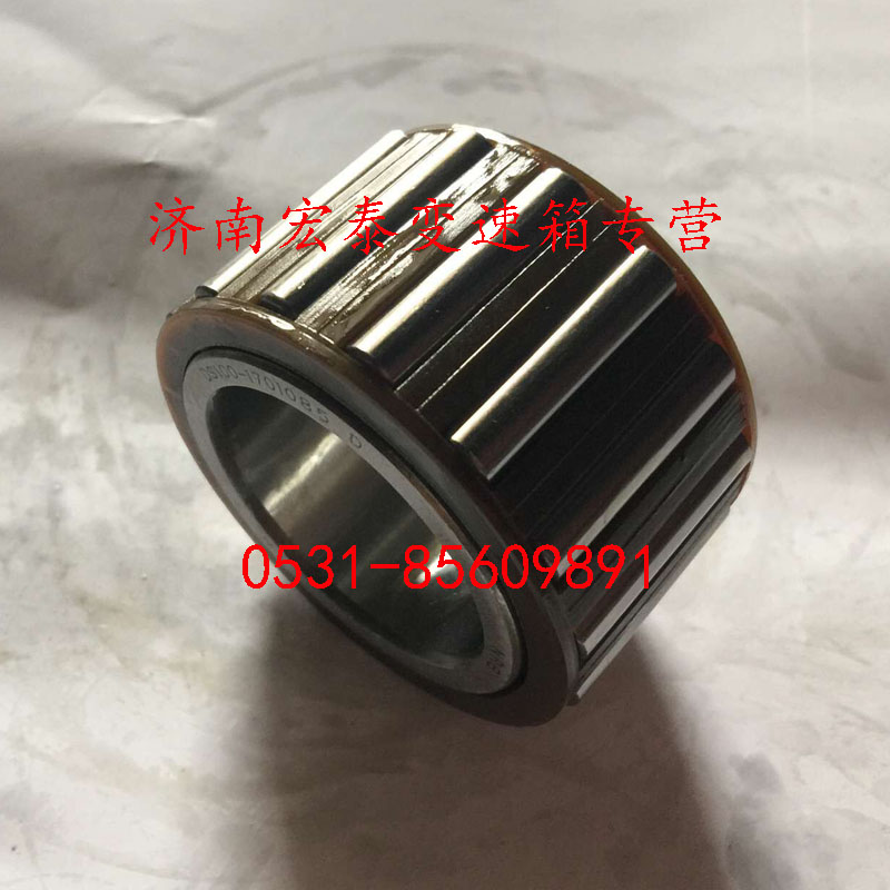 法士特 12 檔 滾針軸承/DS100-1701085