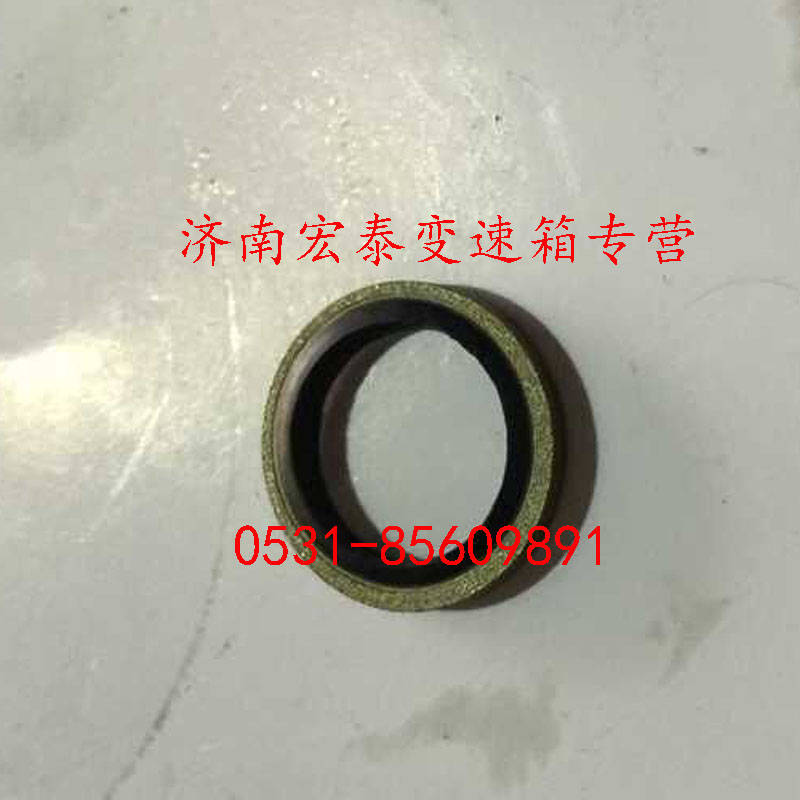 密封墊圈/WG2229280001