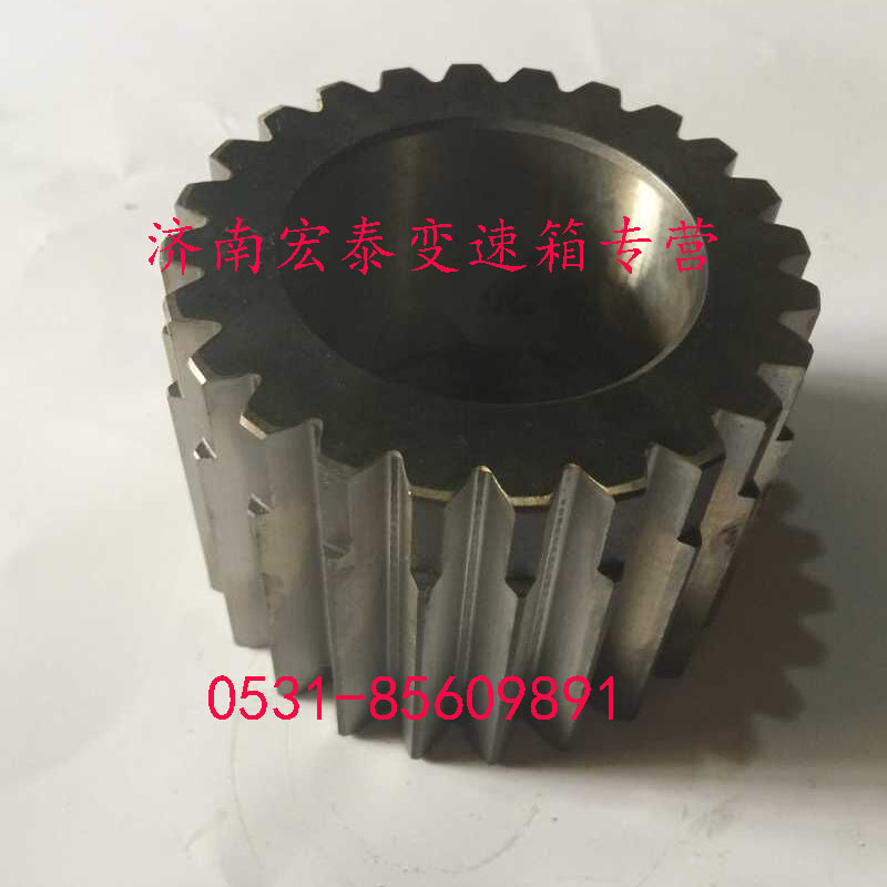 太陽輪/WG2210100101