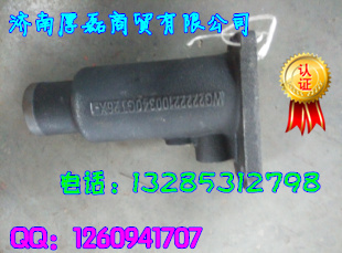 WG2222210034雙桿搖臂側/WG2222210034