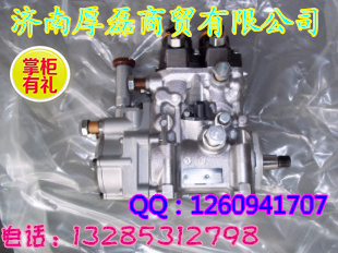 R61540080101供油泵/R61540080101