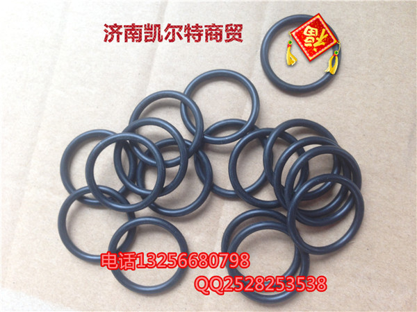 406060010環狀密封圈豪沃金王子STR歐曼/406060010