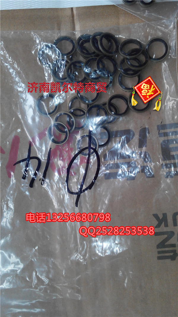 VG2600080200金王子密封墊圈/VG2600080200