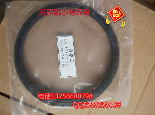 STR前輪油封140x160X13 AZ9100410061/AZ9100410061