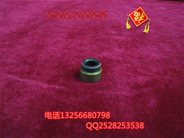 VG2600040114氣門閥桿密封套/VG2600040114